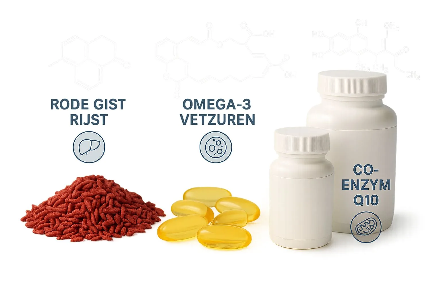 Rode gist rijst-Omega3-Q10