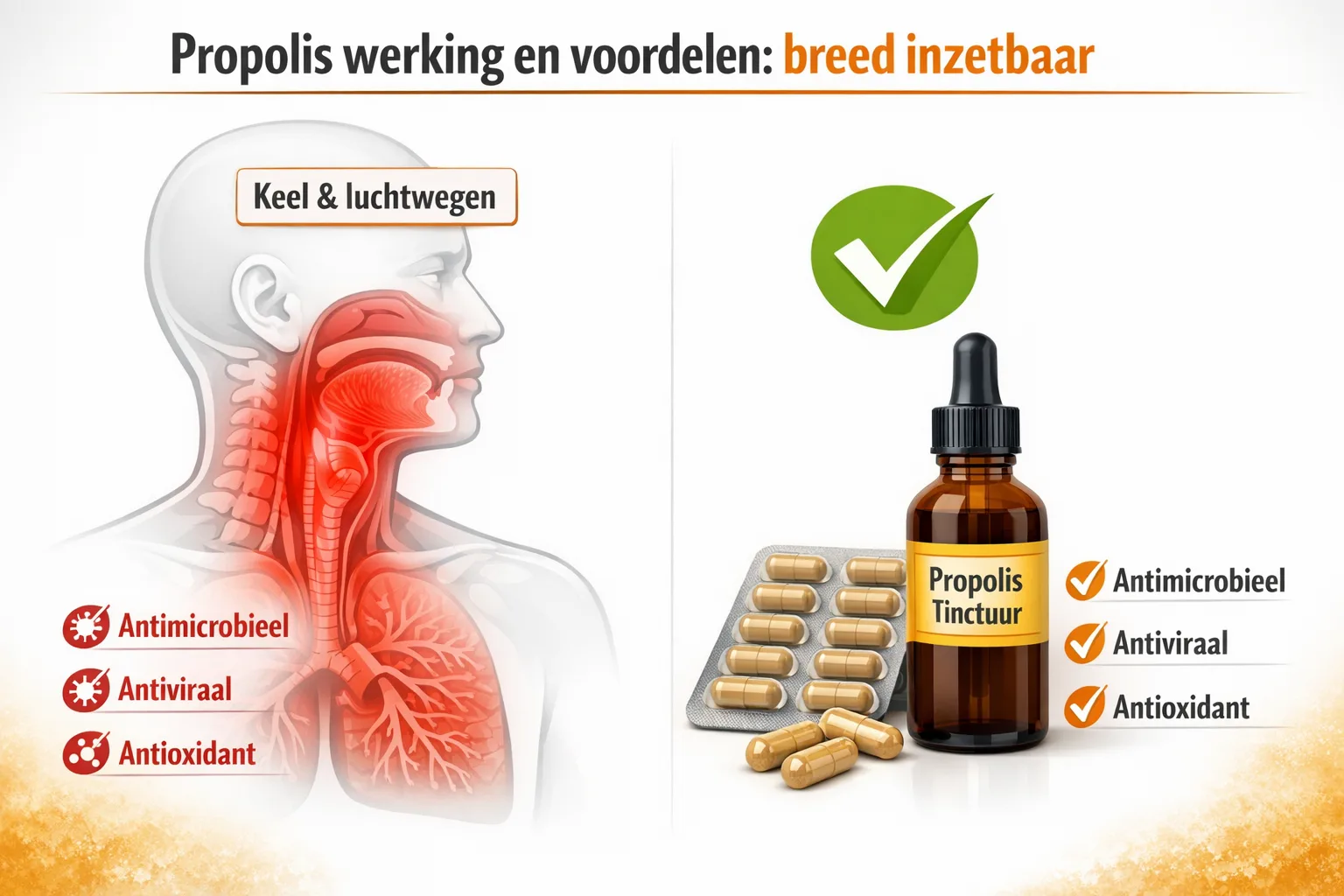 voordelen van de werking van propolis